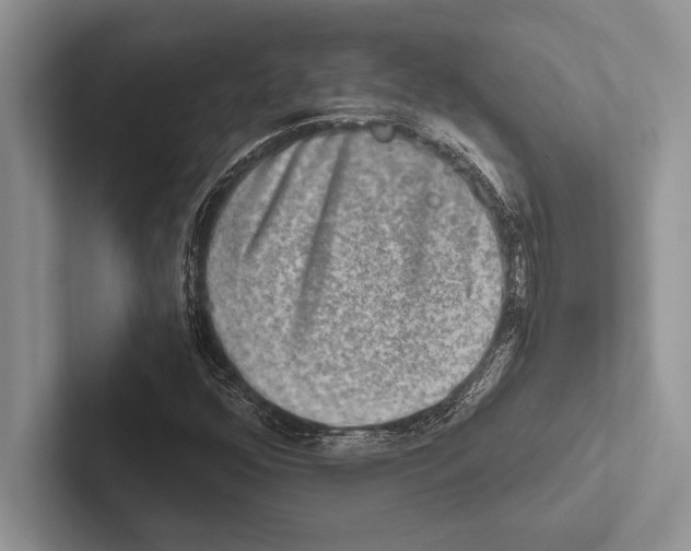 X0000102521352200809051434