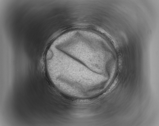 X0000102521354200809051434