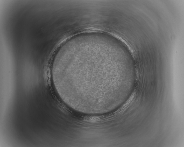 X0000102521355200809051434