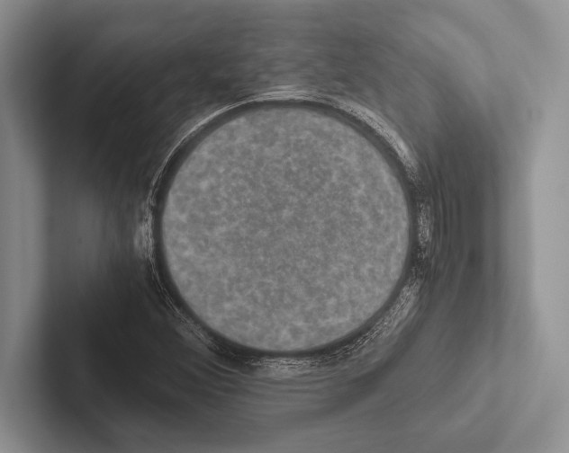 X0000102521356200809051434