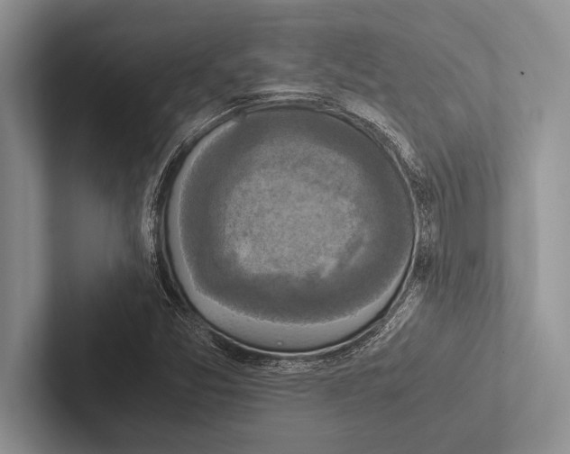 X0000102521357200809051434