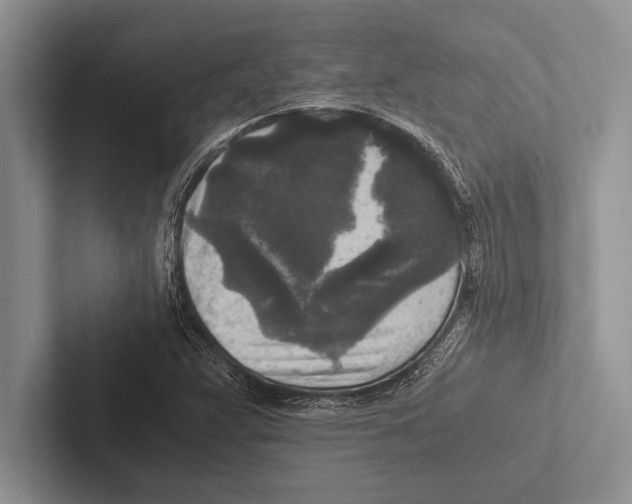 X0000102521359200809051434