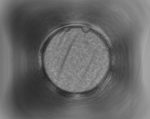 X0000102521360200809051434