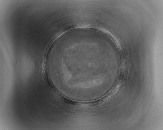 X0000102521361200809051434