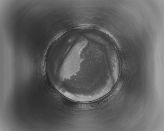 X0000102521362200809051434