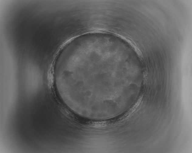 X0000102521363200809051434