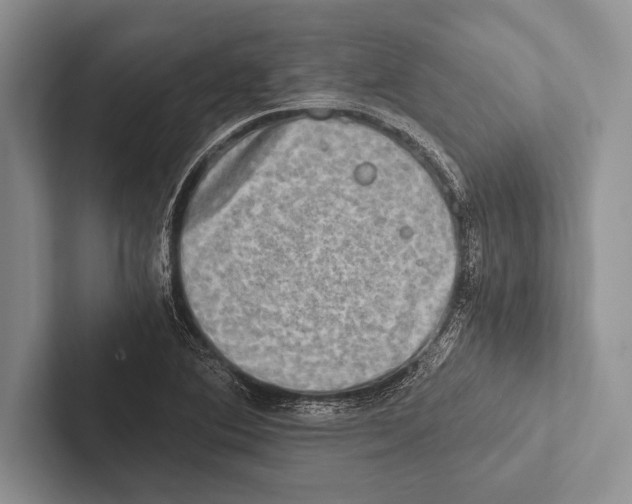 X0000102521364200809051434