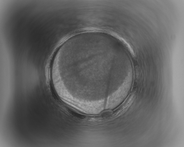 X0000102521365200809051434