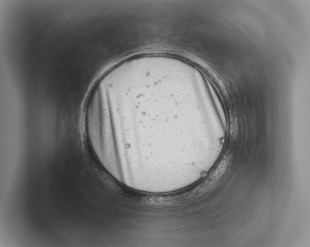 X0000102521366200809051434