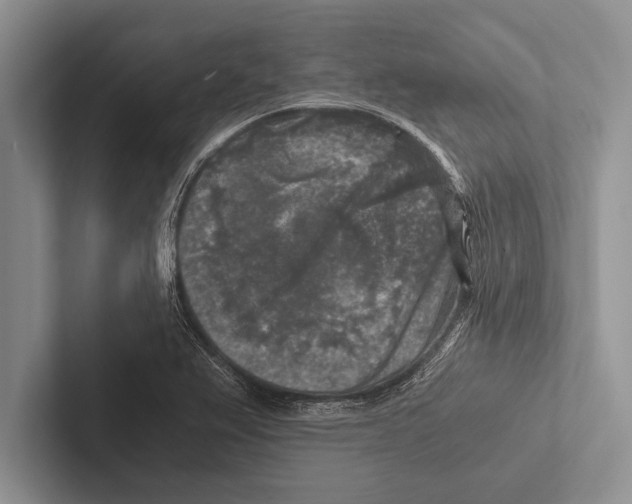 X0000102521367200809051434