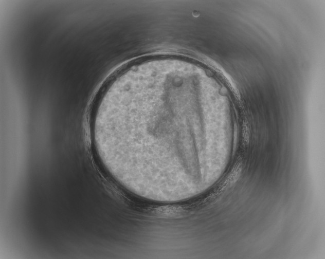 X0000102521368200809051434