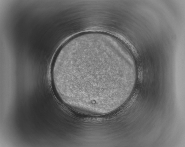 X0000102521372200809051434