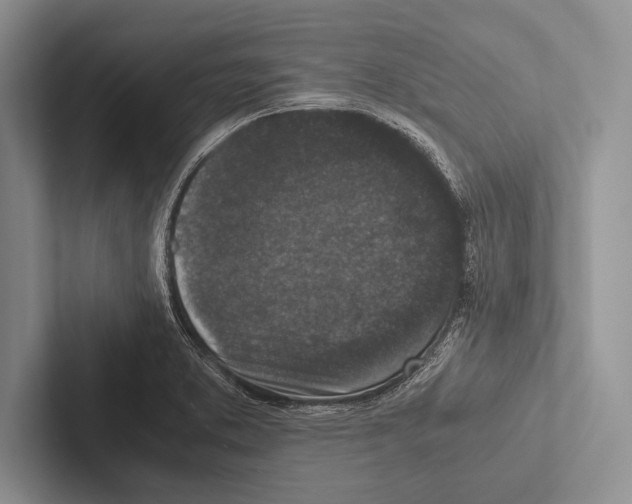 X0000102521373200809051434