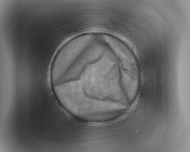 X0000102521374200809051434