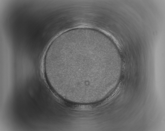 X0000102521375200809051434