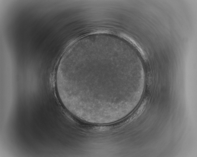 X0000102521377200809051434