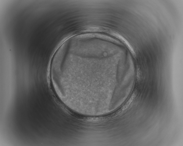 X0000102521378200809051434