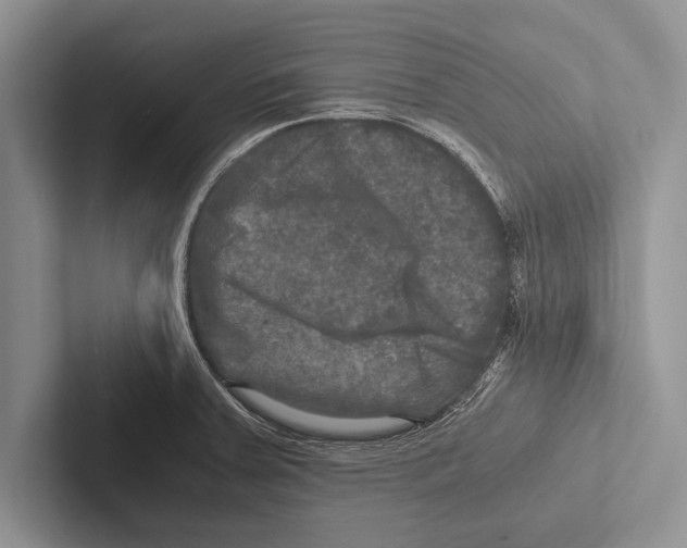 X0000102521379200809051434