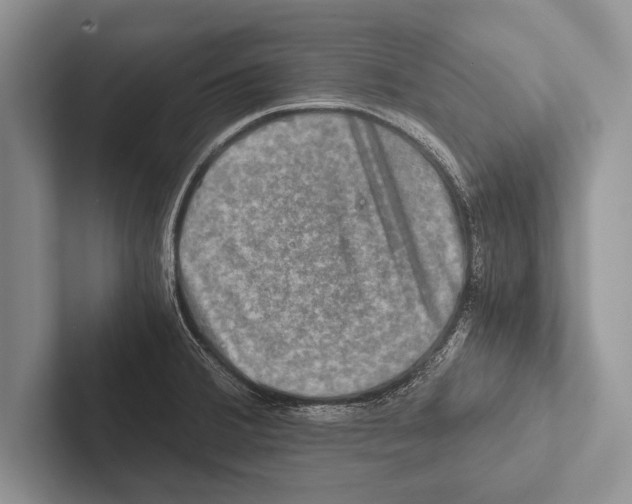 X0000102521380200809051434