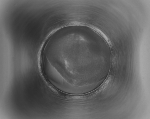 X0000102521381200809051434