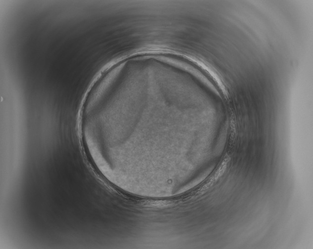 X0000102521382200809051434