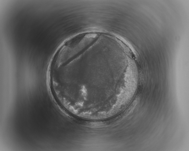 X0000102521383200809051434