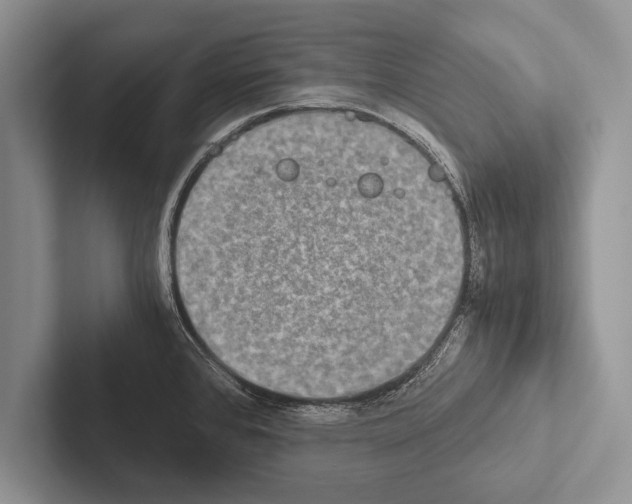 X0000102521384200809051434