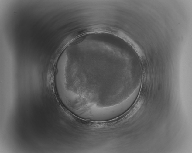 X0000102521385200809051434