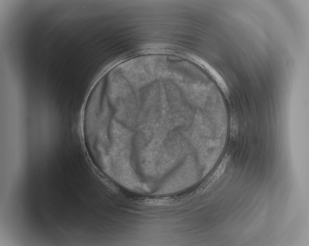 X0000102521386200809051434