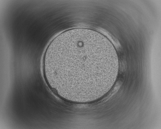 X0000102521387200809051434