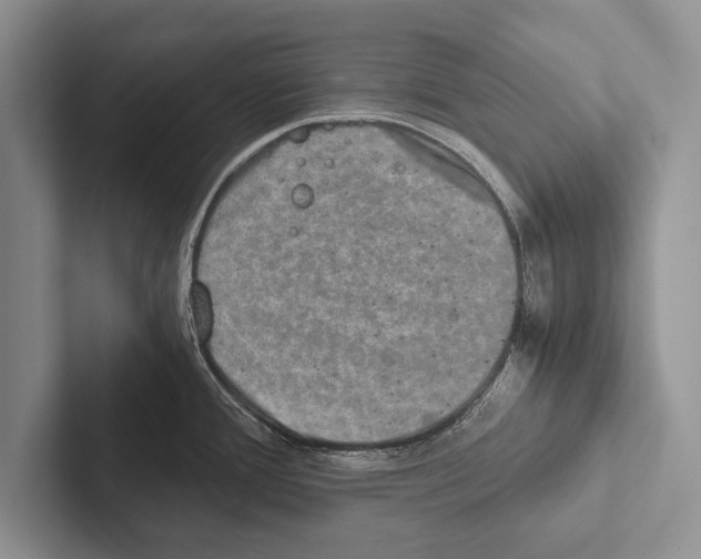 X0000102521388200809051434