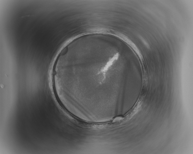 X0000102521389200809051434