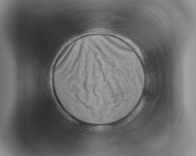 X0000102521390200809051434