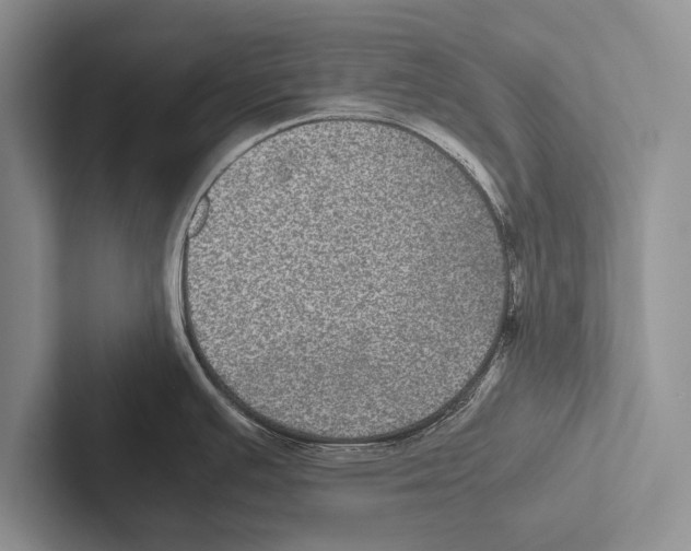 X0000102521391200809051434