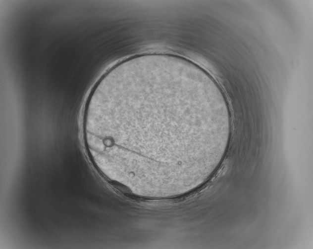 X0000102521392200809051434