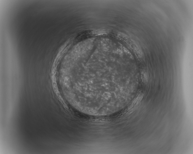 X0000102521393200809051433