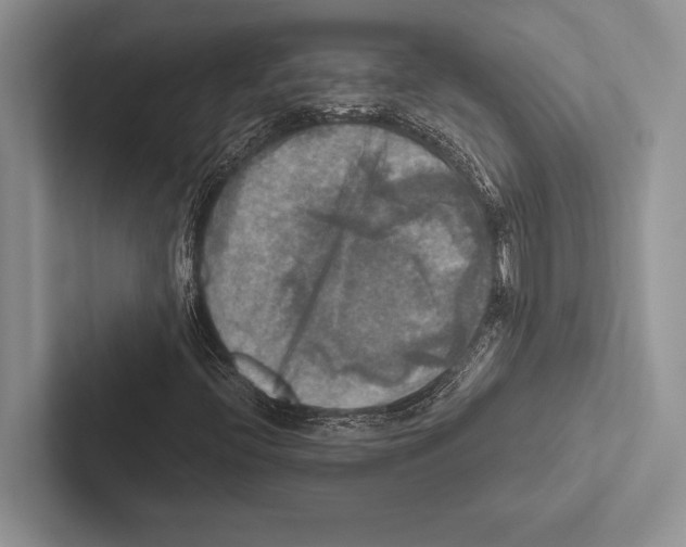 X0000102521396200809051433