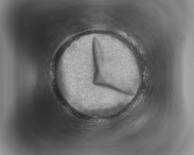 X0000102521400200809051433