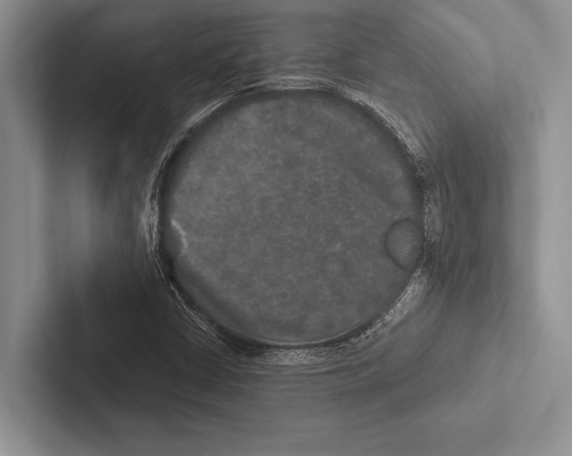 X0000102521402200809051433