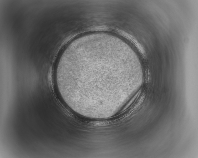 X0000102521404200809051433