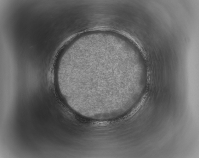 X0000102521406200809051433