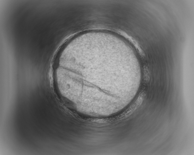 X0000102521408200809051433