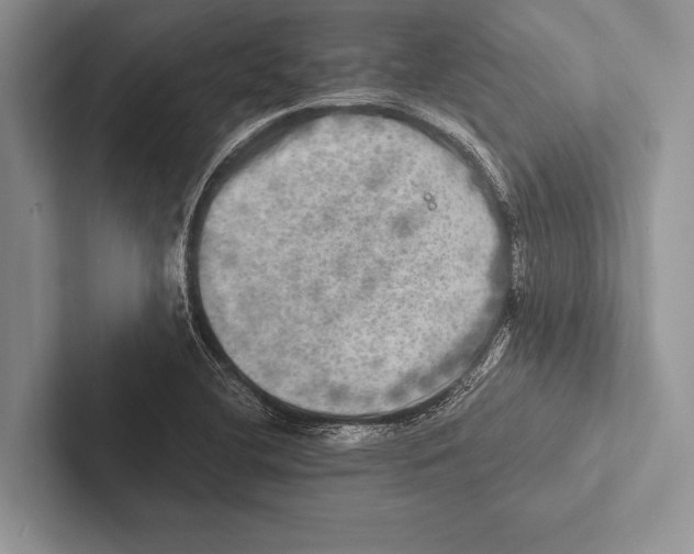 X0000102521412200809051433