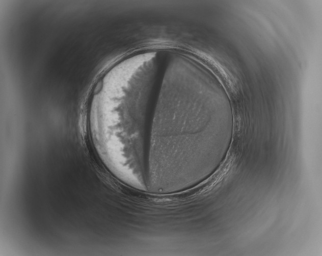 X0000102521413200809051433