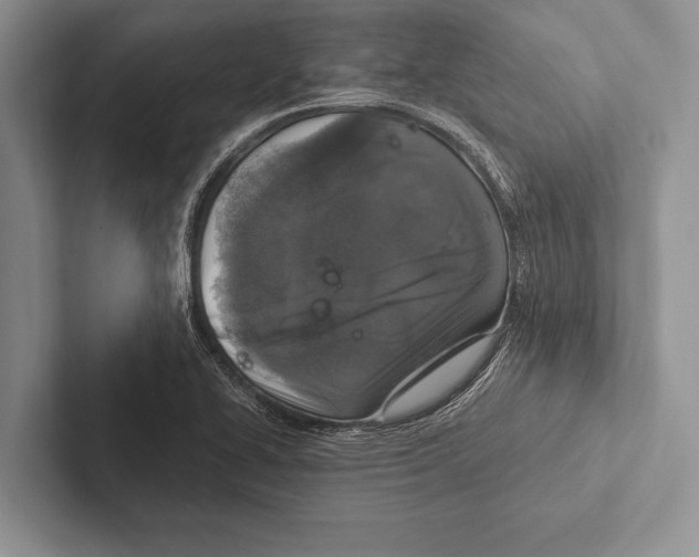 X0000102521414200809051433