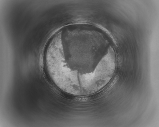 X0000102521415200809051433