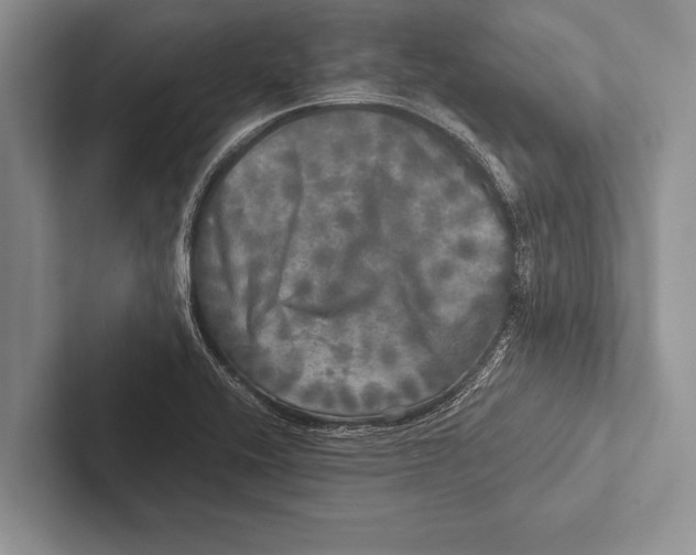 X0000102521416200809051433