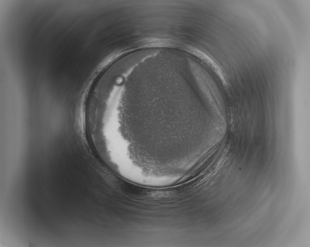 X0000102521419200809051433