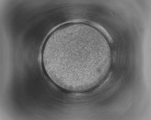 X0000102521420200809051433