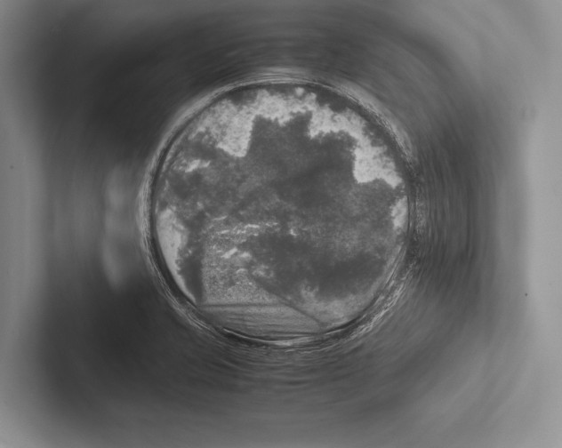 X0000102521421200809051433